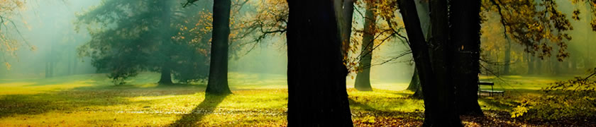 個人情報の取扱い